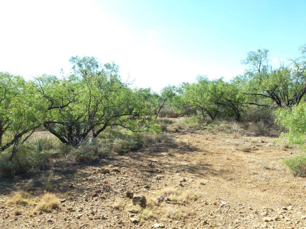 Picture 25