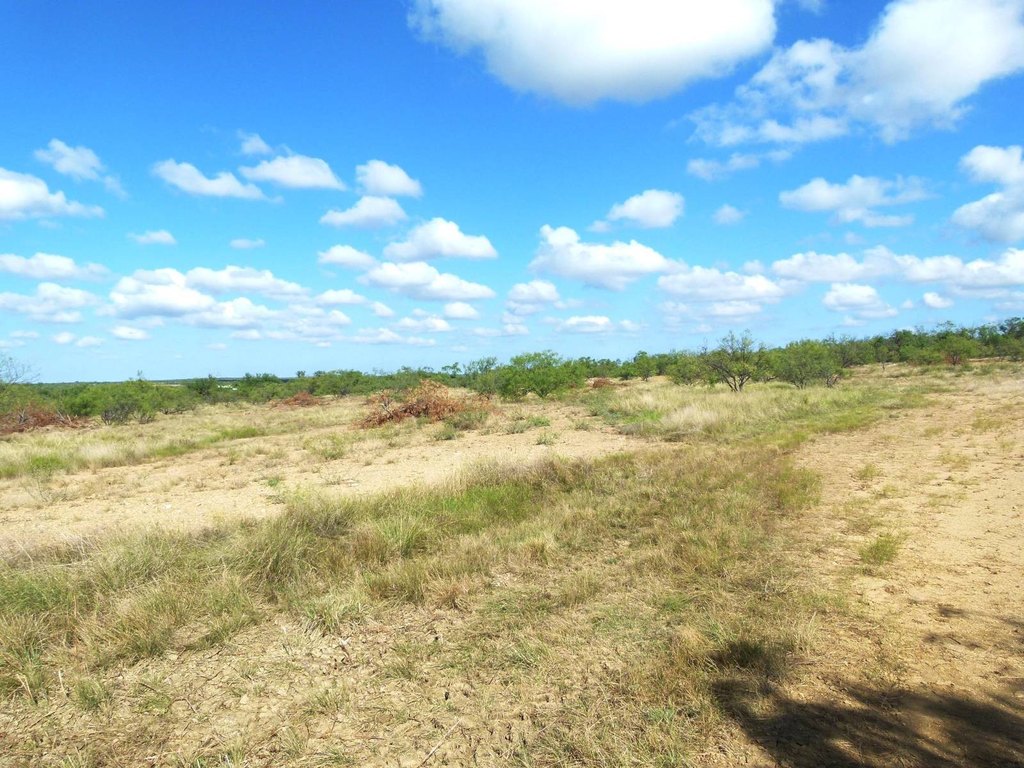 Picture 61