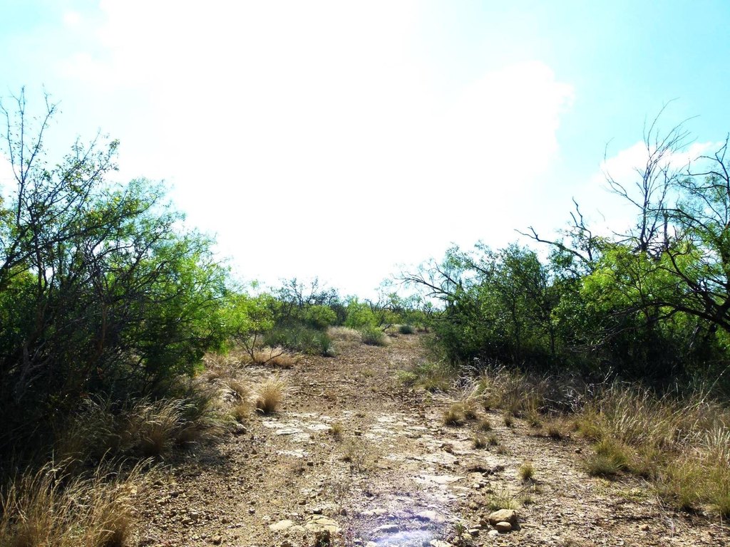 Picture 49