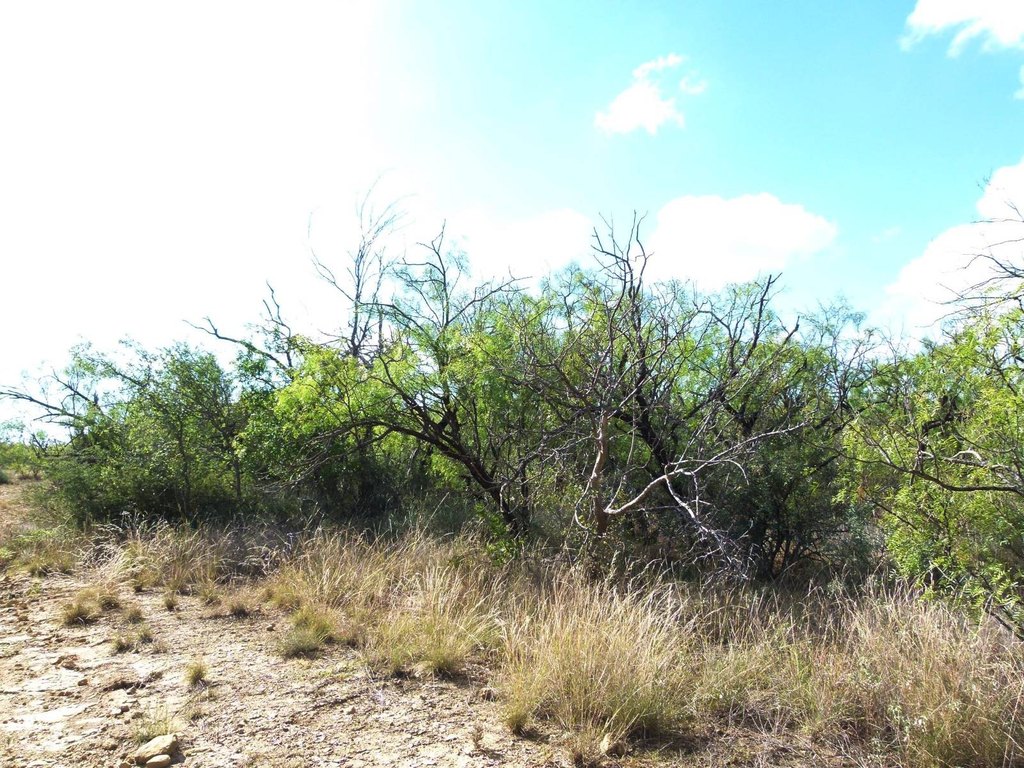 Picture 50