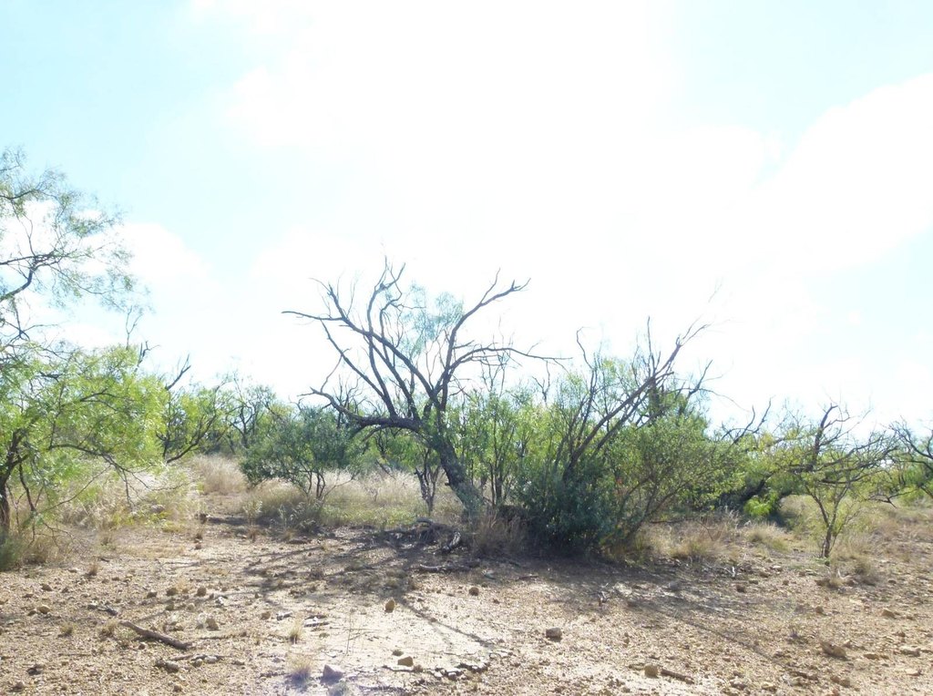 Picture 53