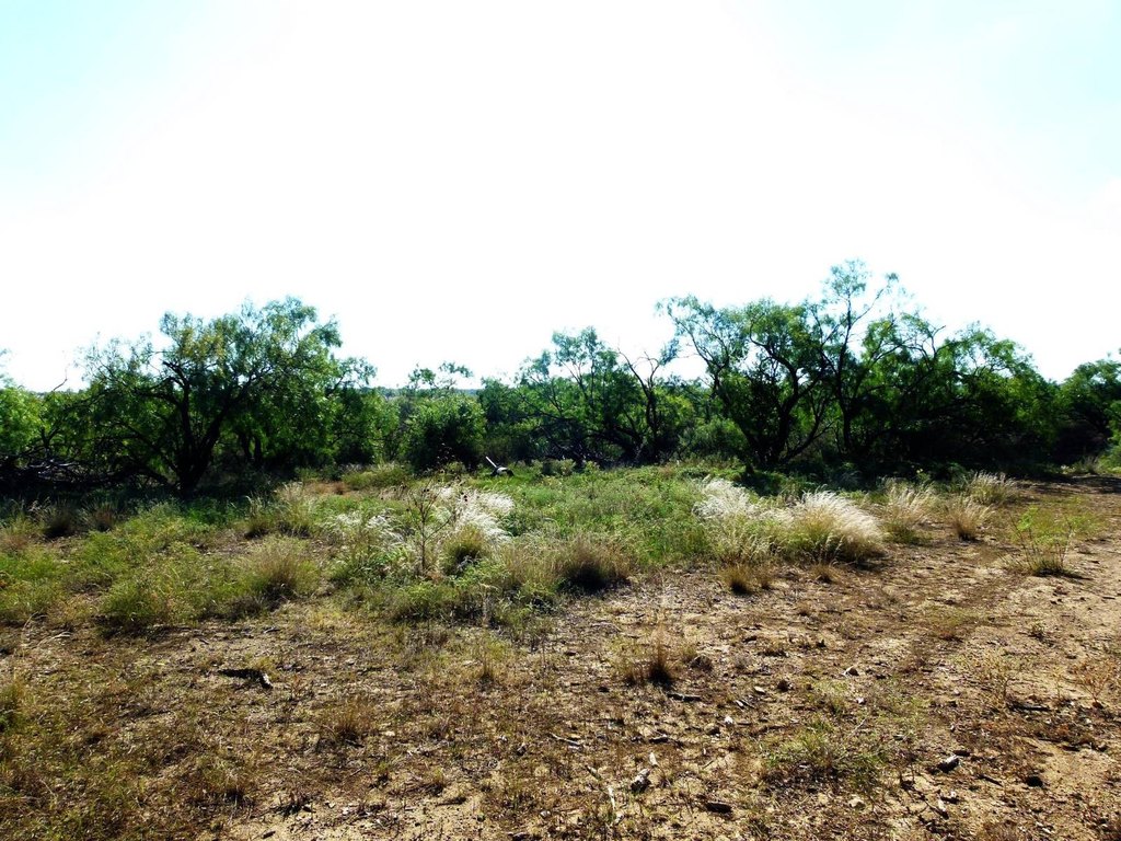Picture 27