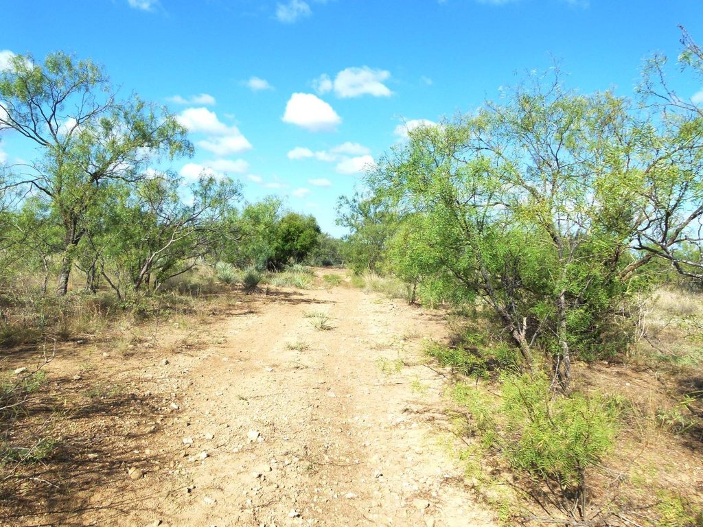 Picture 45