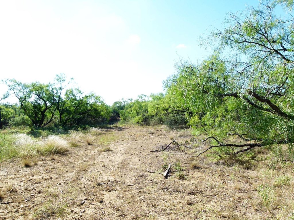 Picture 28