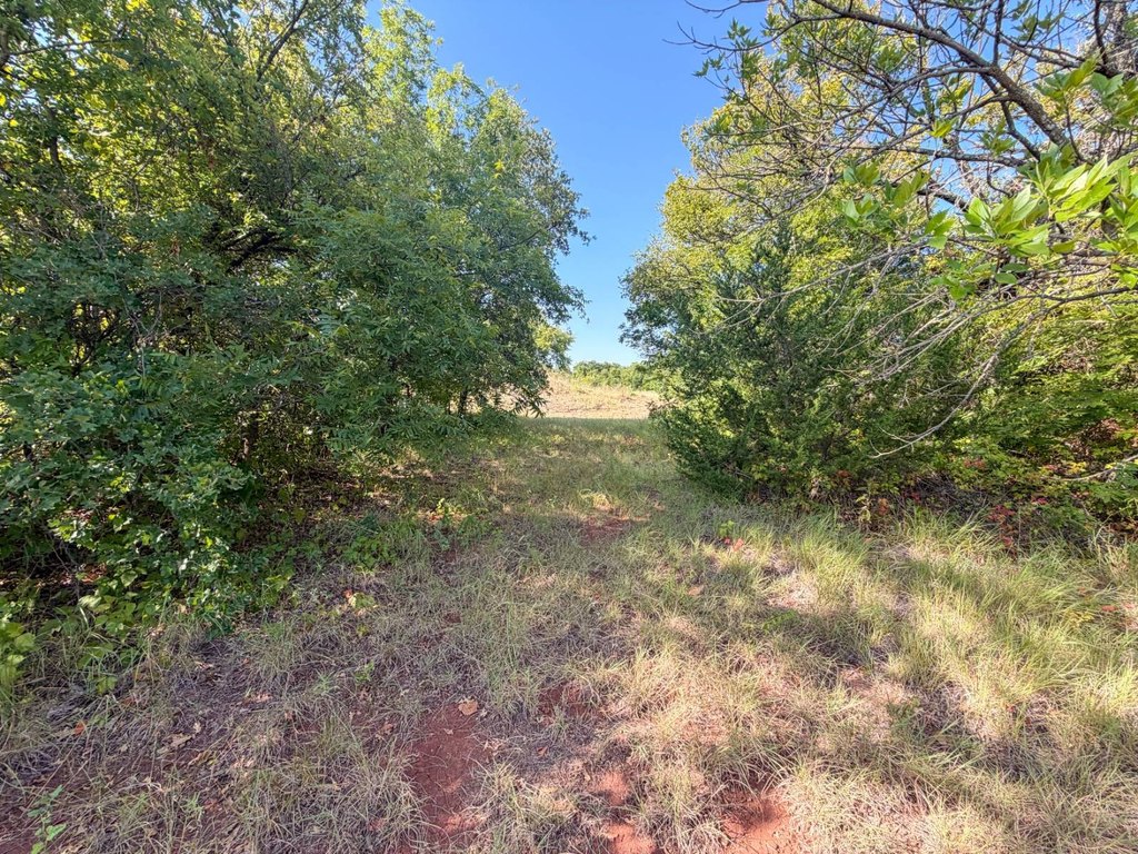Picture 36