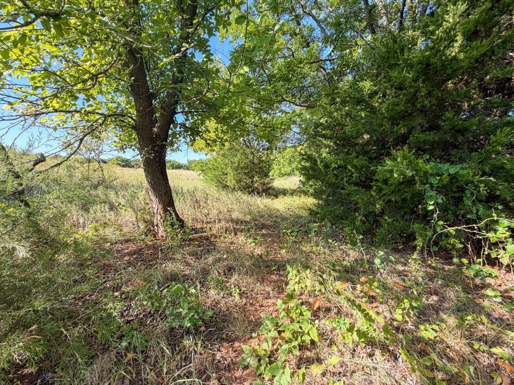 Picture 33