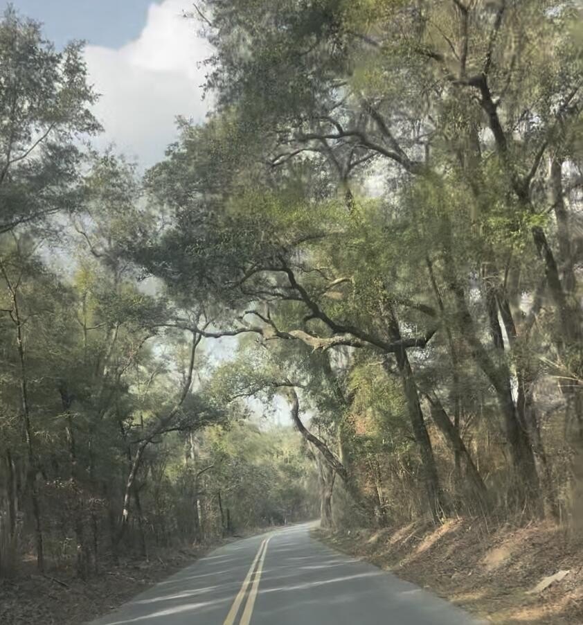 Expansive Countryside Land in Chipley