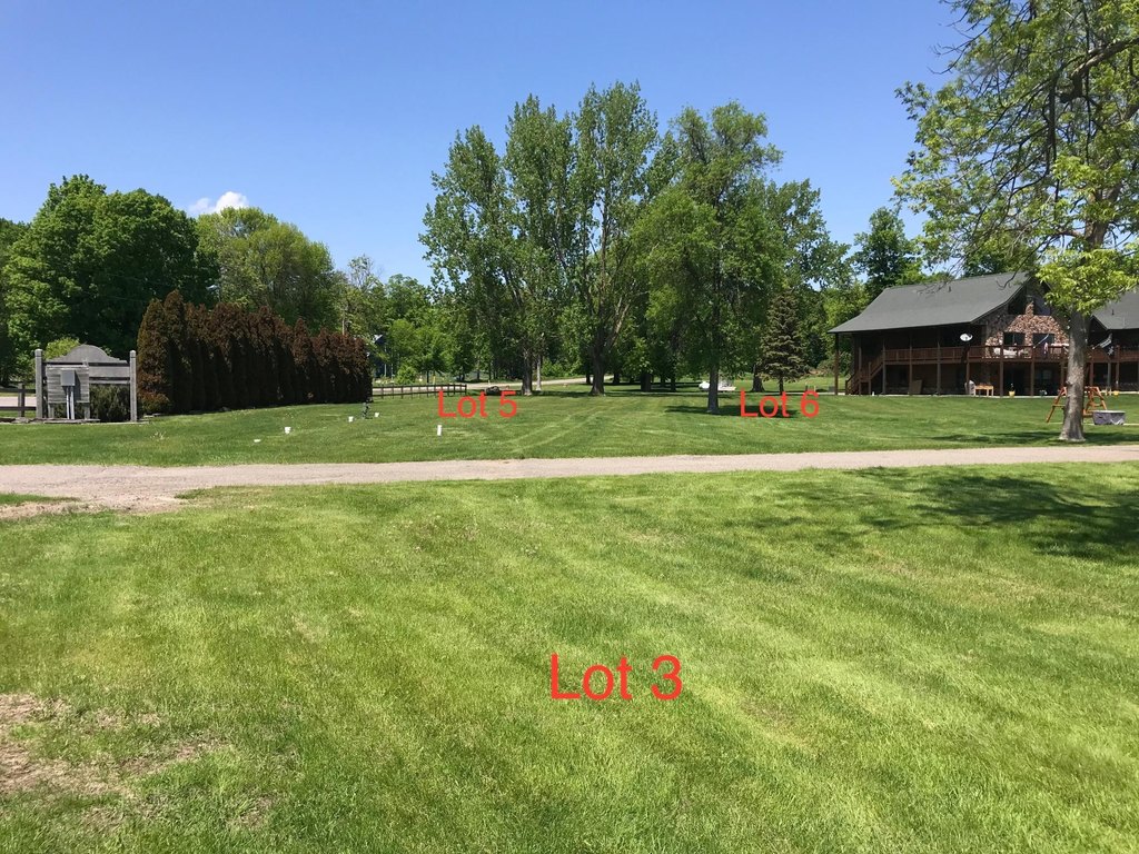 Picture 15
