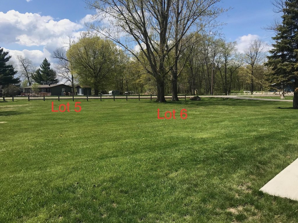 Picture 6
