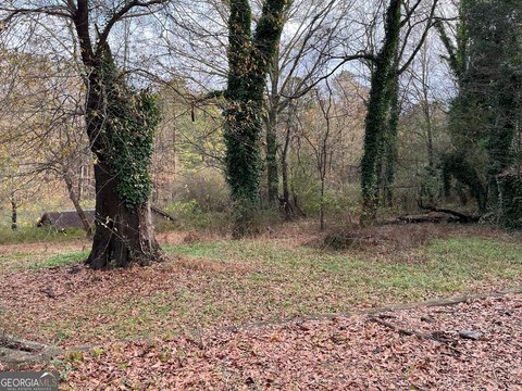 South Fulton Land Opportunity