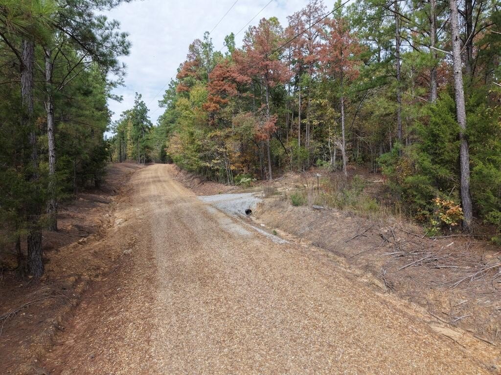 Picture 9