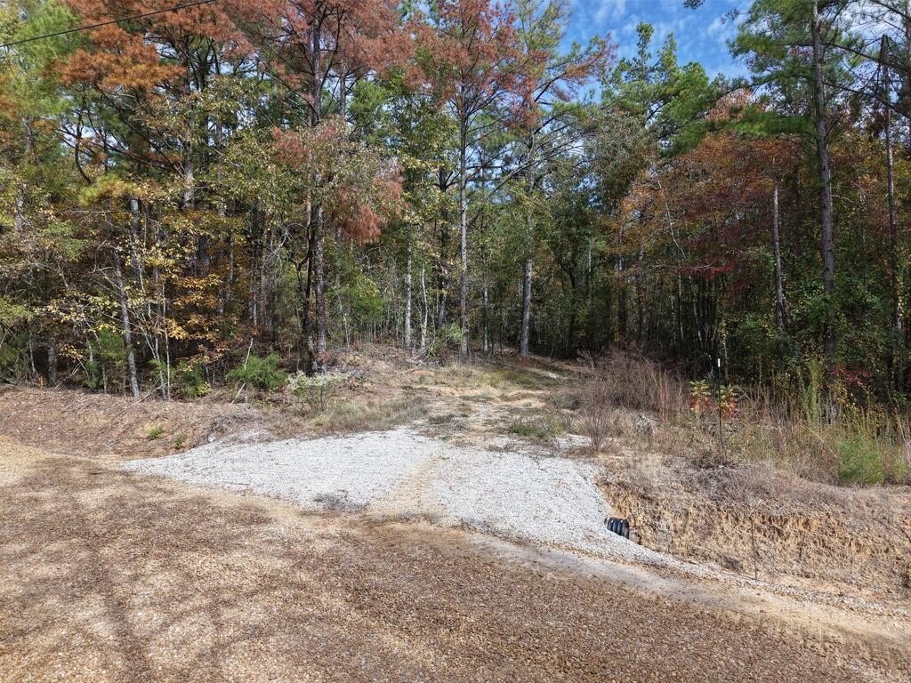 Picture 3