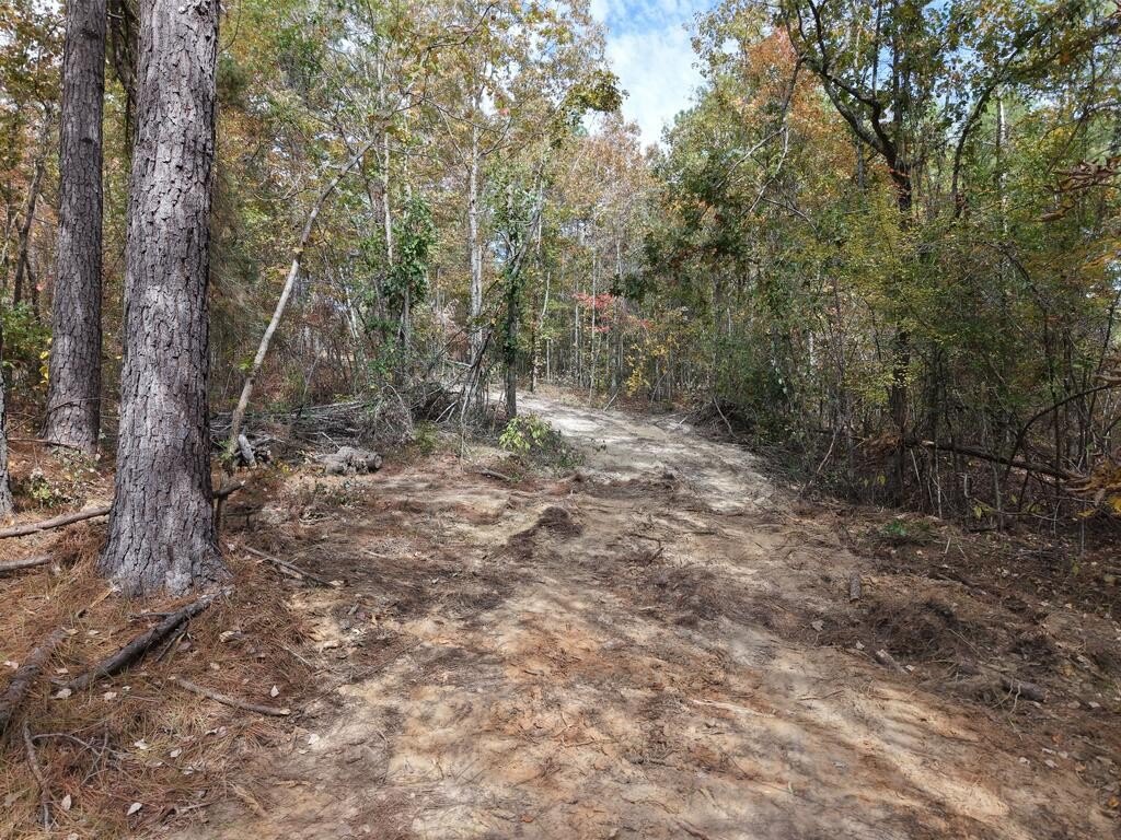 Picture 2