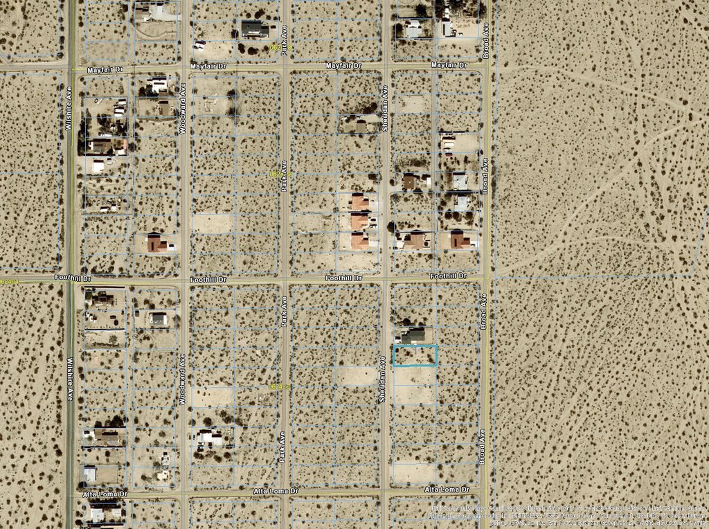 Picture 3