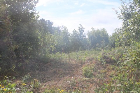 LAND - Jamestown, TN