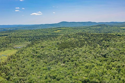 Recreational Land Near Lake Elmore