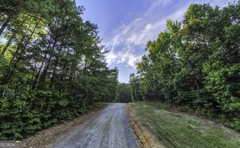 Undeveloped Farmland Tract