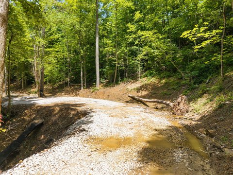 Land in Red River Gorge
