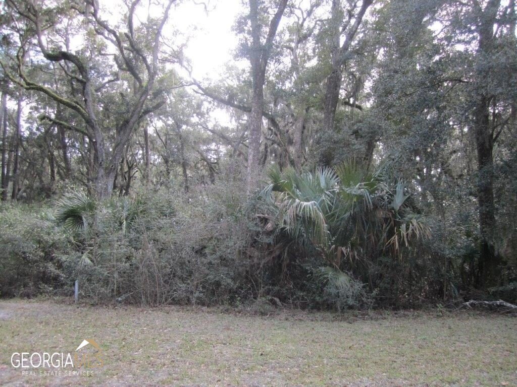 Residential Lot in Gated Community