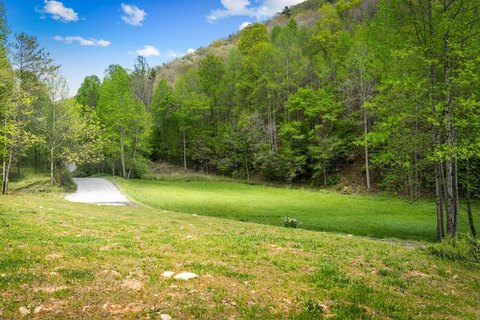 49 Acres with Mountain Views