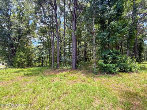 LAND - McComb, MS