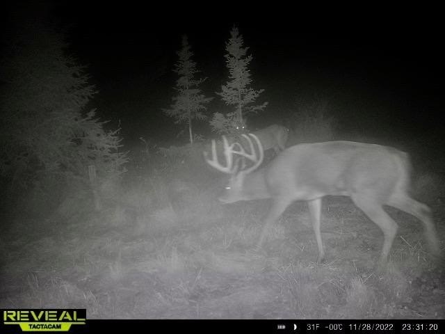 Picture 12