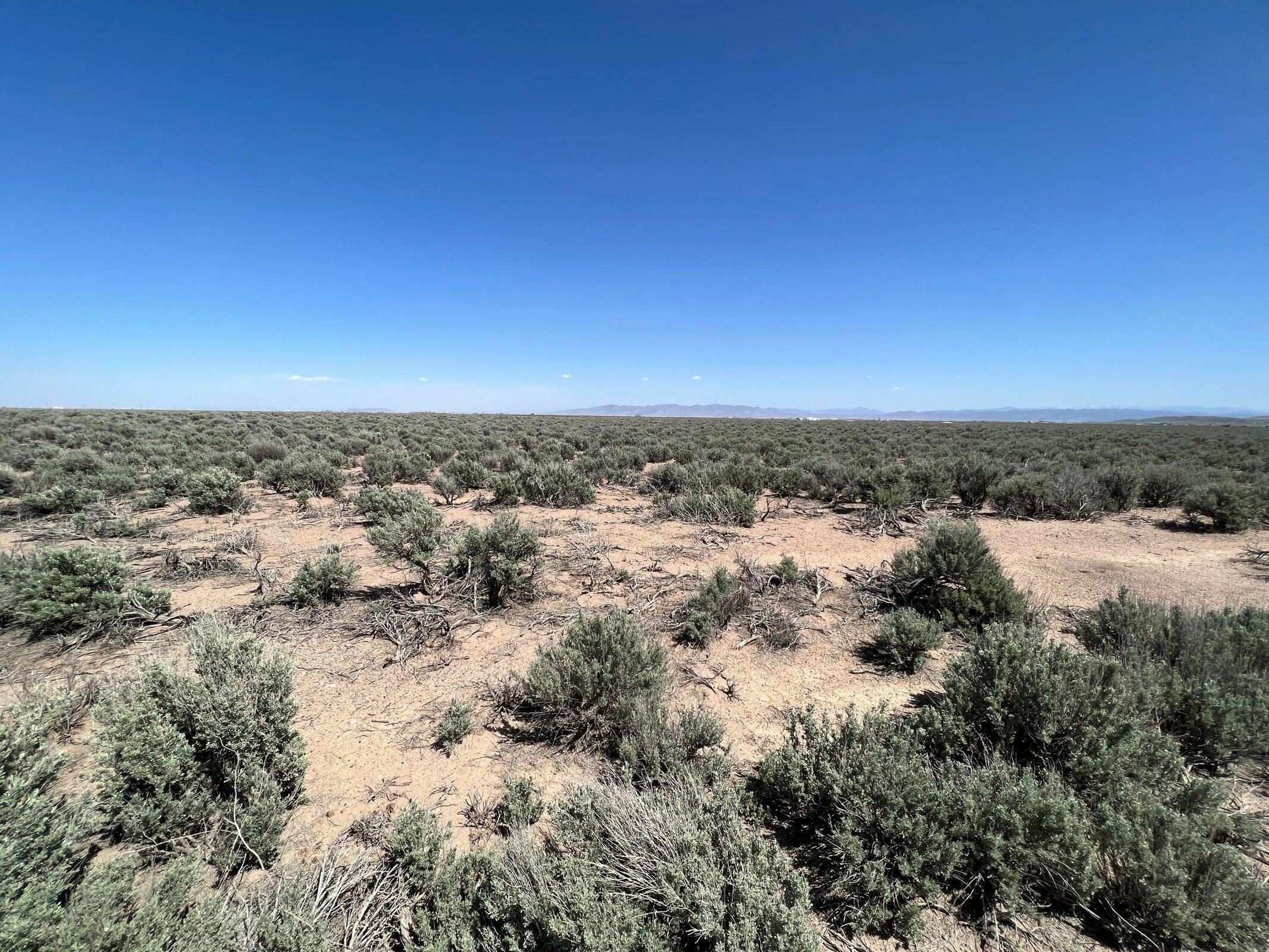 20 Acres of Land in Beryl