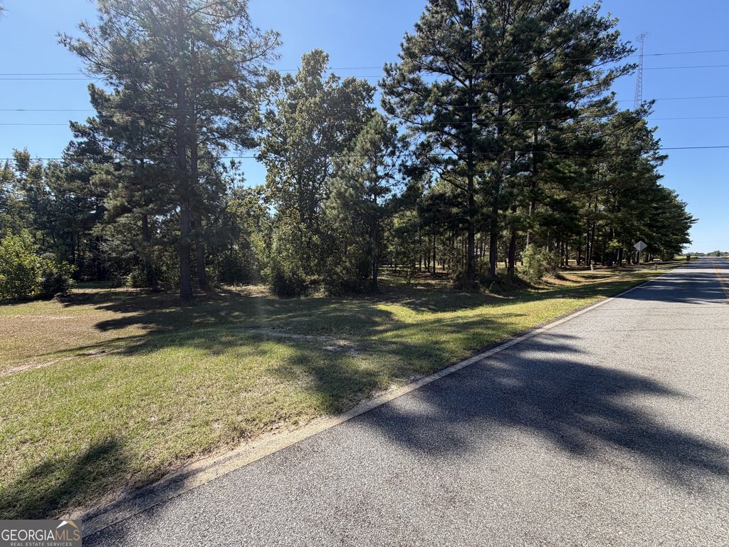 Picture 5
