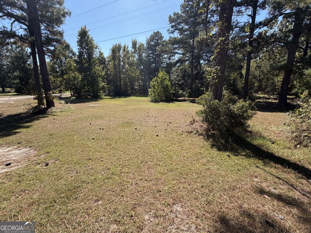 Picture 6