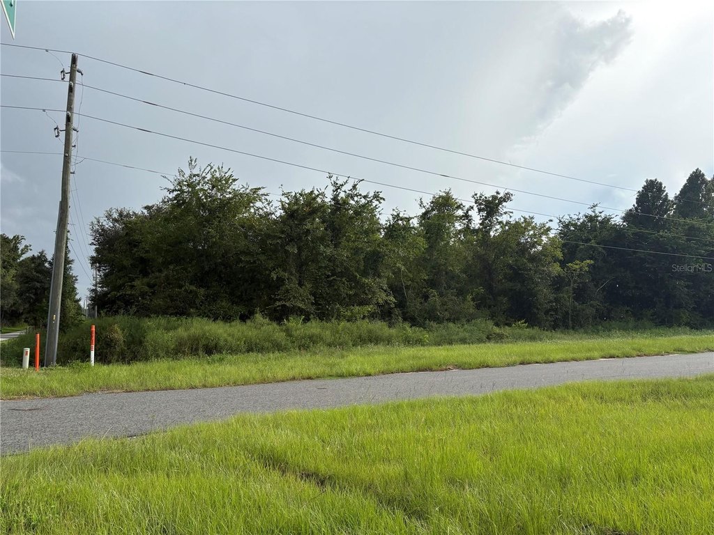 Picture 17