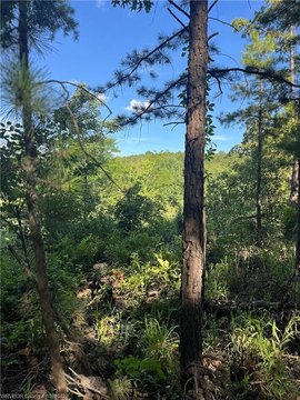 Raw Land in Red Oak, OK