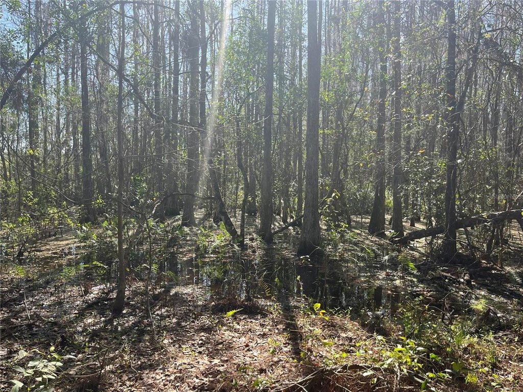 Picture 9