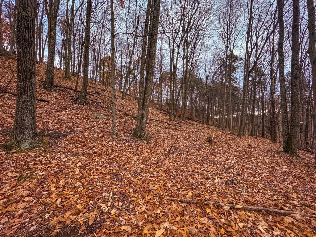 Picture 34