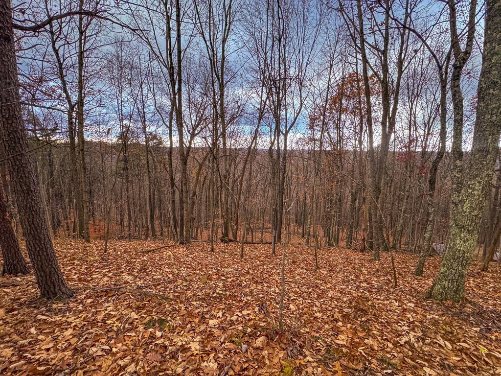 Picture 39