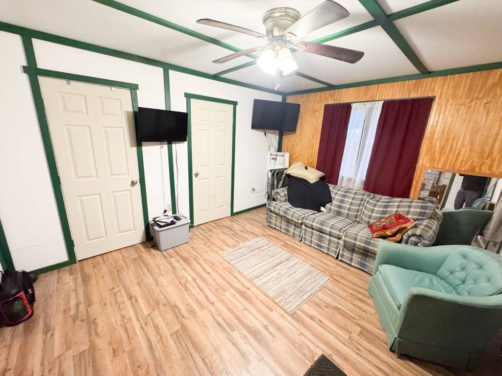 Picture 5