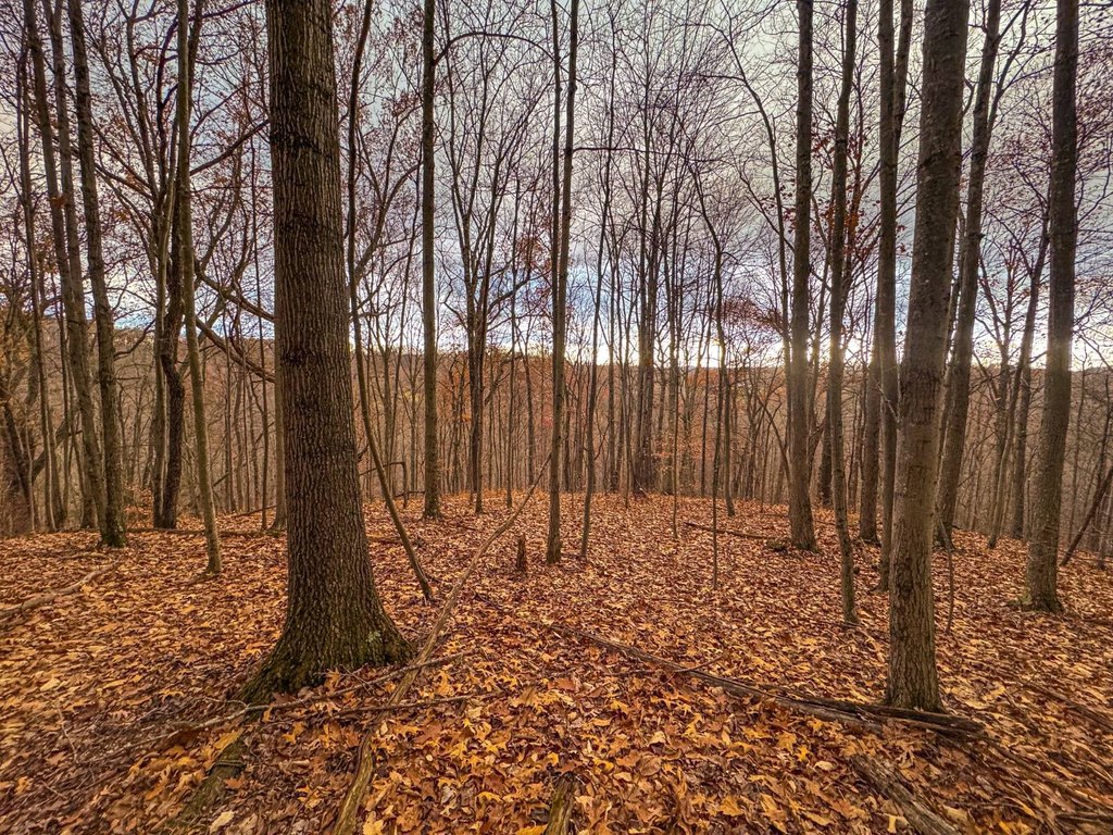 Picture 21