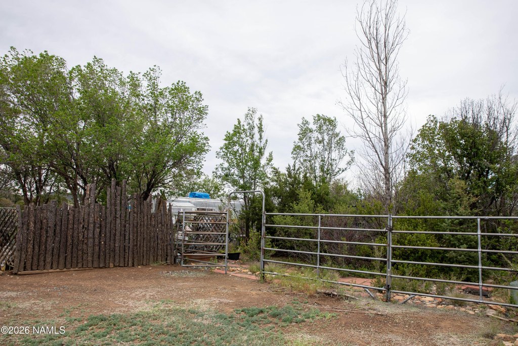 Picture 12