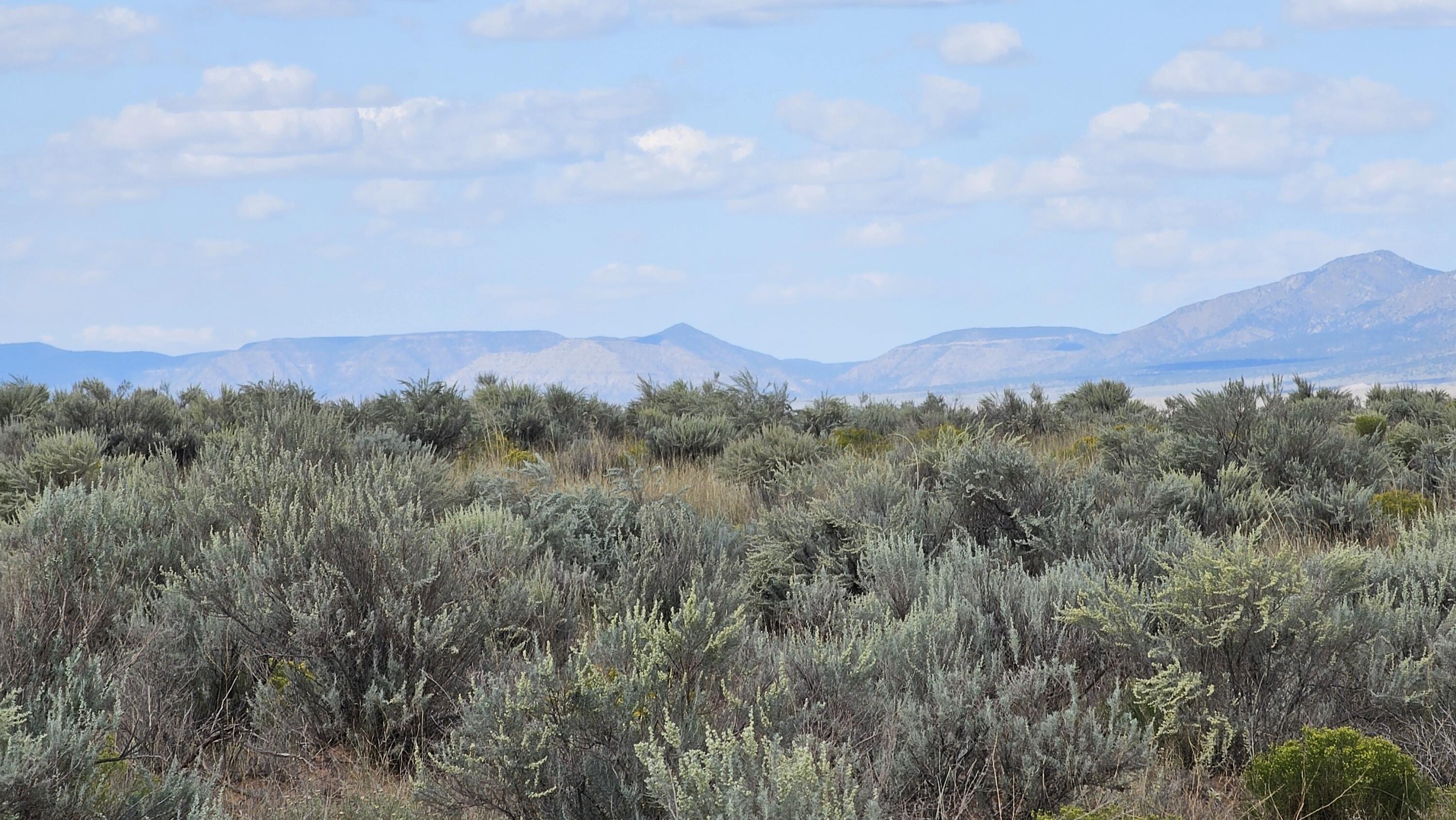 Land in Belen, New Mexico