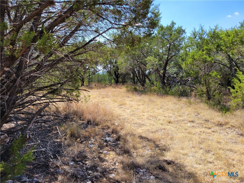 Picture 34