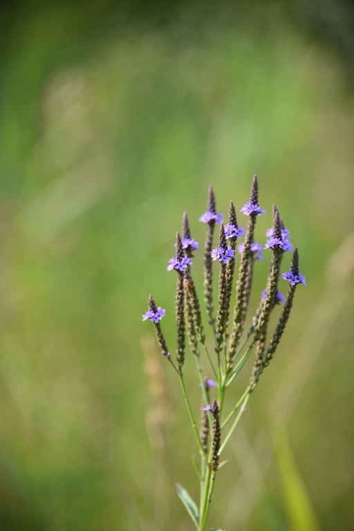 Picture 24