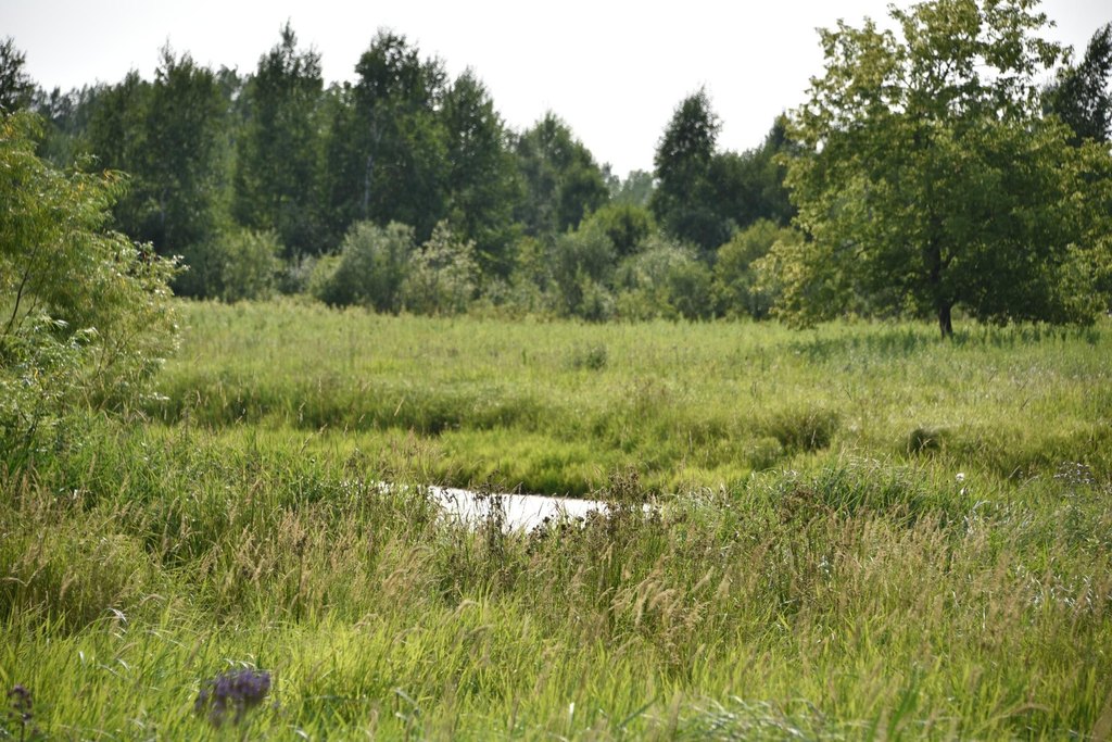 Picture 22