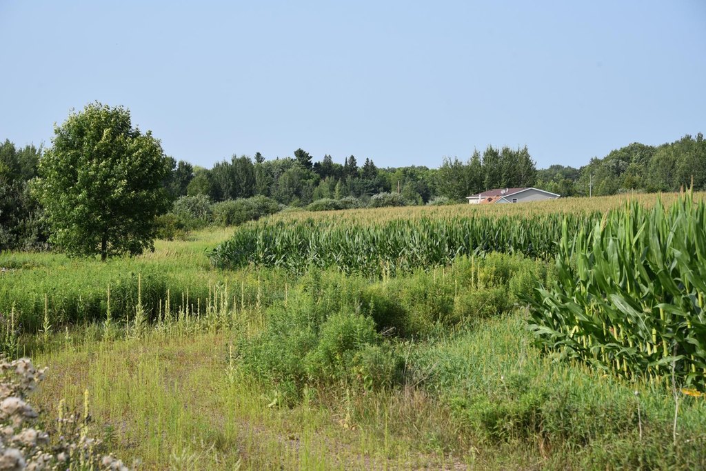 Picture 26