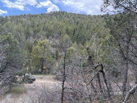 Scenic Wooded Acreage in Skyhaven