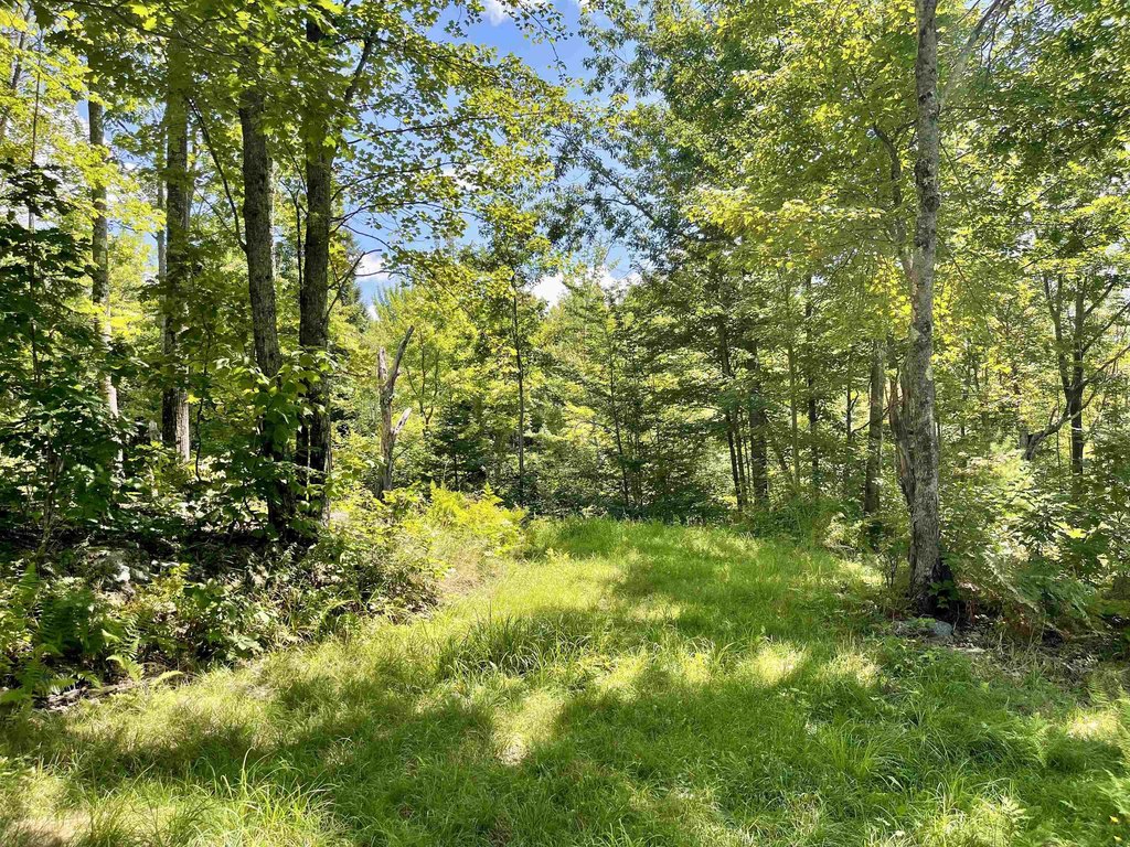 Picture 25