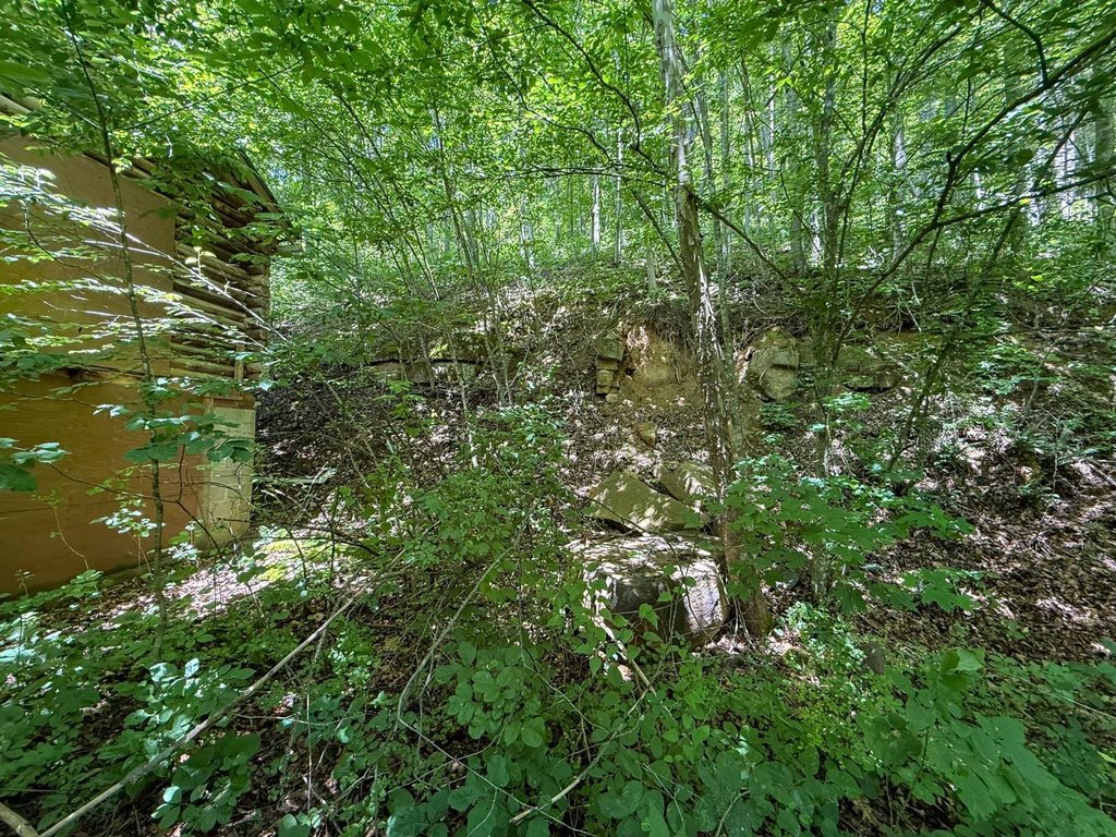 Picture 20