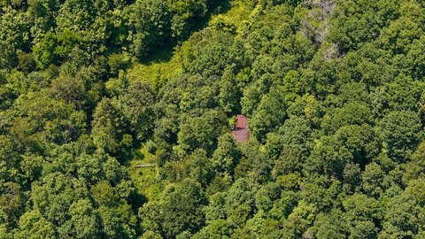Hunting Land with Pond and Log Structure