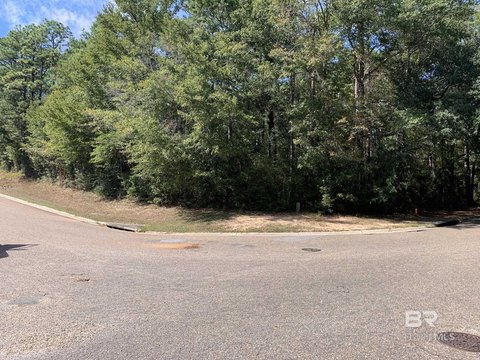 Daphne Business Park Corner Lot