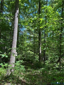 Goochland Land Near River Road