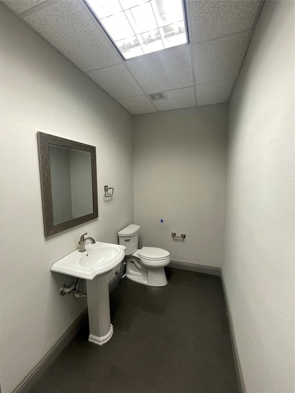 Picture 7