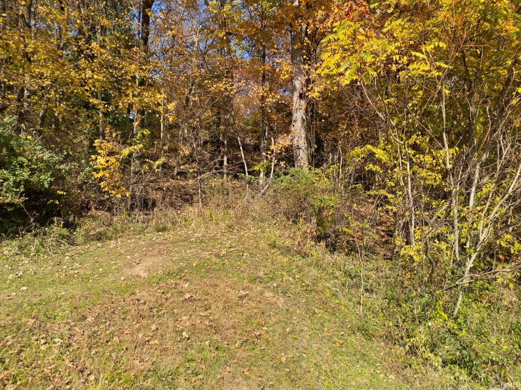 Picture 15